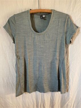 ibex 100% Merino Wool Striped Scoop Neck Tee - Light Blue & Grey - Medium
